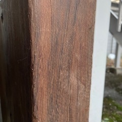 タガヤサン　希少　木材の画像