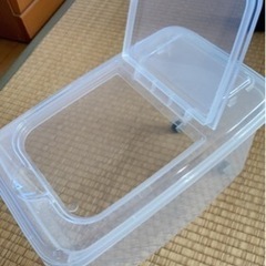 引き取り予定者が決まりました。米びつ5キロ　無料　取りに来れる方
