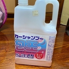 無料カーシャンプー