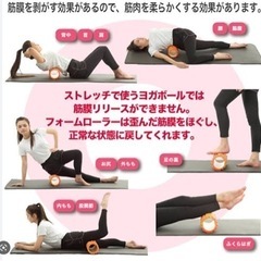 筋膜ローラーの画像