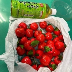 りんごの飾り　オーナメント　全部で200円の画像