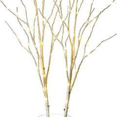 白樺ブランチツリー　LED100個　80cmの画像