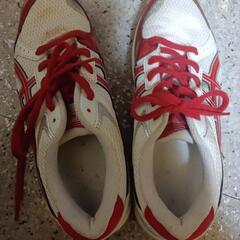 値下げします(*^^*)バレーボールasicsシューズの画像