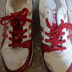 値下げします(*^^*)バレーボールasicsシューズの画像