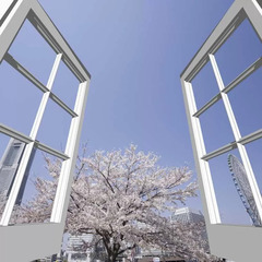 【正社員／各種保険完備】プログラミング教室の《事務スタッフ》募集！の画像