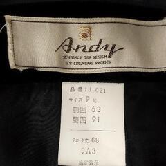 Andyベルベットスーツ上下9号の画像