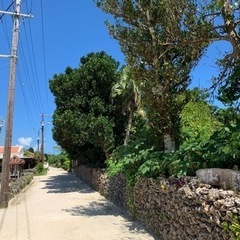 石垣島のいま - 石垣市