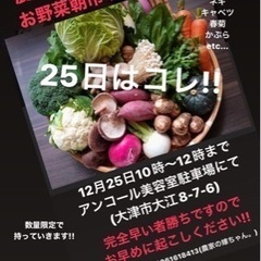 年内最後!!農家直送!!野菜販売やります!!