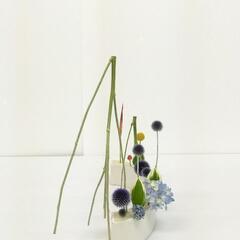 いけばな：黒木恵太池坊いけばな教室の画像