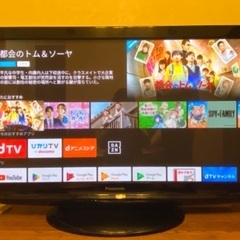 panasonic VIERA  テレビ　42V型