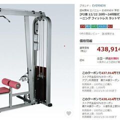 ボディソリッド ラット＆ローイングマシン ウエイト300kg【引取限定