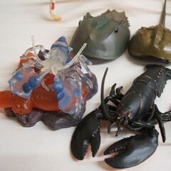 ミニフィギュア 9個セット 地球生命紀行 蟹・海老　カブトガニ フリソデエビ タカアシガニ エポック カニ エビ ☆ PayPay(ペイペイ)決済可能 ☆ 札幌市 豊平区 平岸の画像