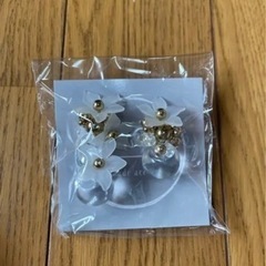 ピアスの画像