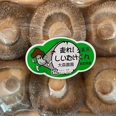 走れ！！しいたけジャンボ✨1パック420円