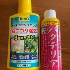 メダカ　金魚　水質管理