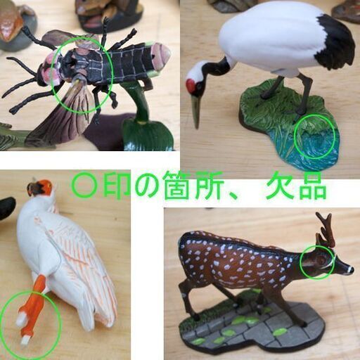 ミニフィギュア 計50体セット(47+3) 海洋堂 週刊 日本の天然記念物 動物編 フィギュアのみ 銀狼 青ザリガニ カメ幼 ☆ Pa