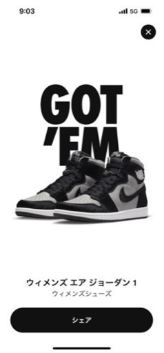 NIKE 27cm エアージョーダン1 medium grey