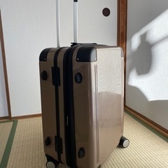 キャリーケース/スーツケースの画像