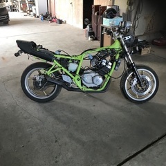 jade250不動