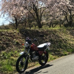 gn125 2fの画像