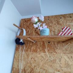 OSB合板　DIY　収納棚　壁面収納棚の画像