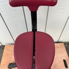 ■姿勢改善椅子 腰痛改善イス■ayur chair アーユルチェア オクトパス キャスタータイプ■坐骨で座ることで骨盤が立つの画像