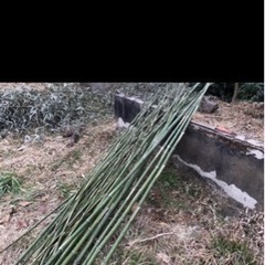 【御礼】野菜栽培用支柱等に　竹