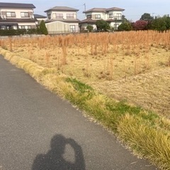 613坪の広い土地！何と坪1万円にて♪