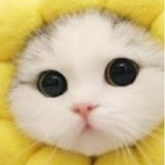 スケジュールの画像