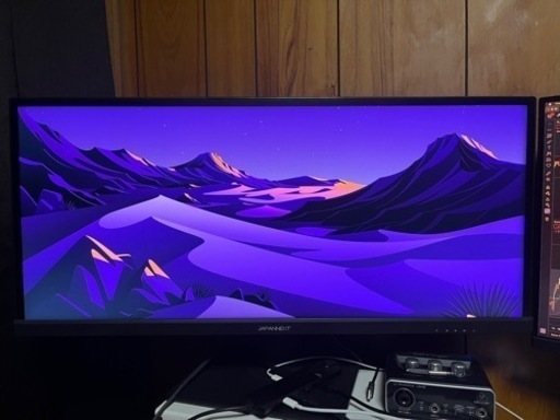 JapanNext パソコンディスプレイ モニター29 インチワイド