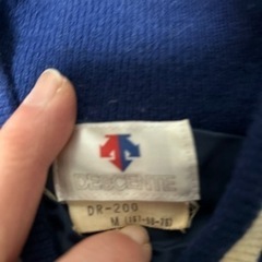 デサントのブルゾンの画像