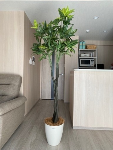 観葉植物(フェイクグリーン) パキラ  光触媒