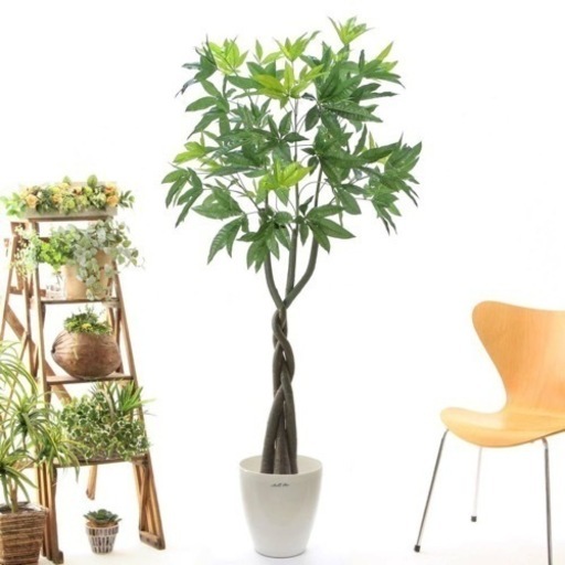 観葉植物(フェイクグリーン) パキラ  光触媒