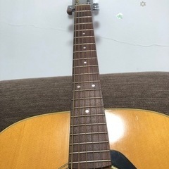 茶色　ギター　🎸の画像
