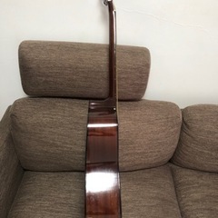 茶色　ギター　🎸の画像