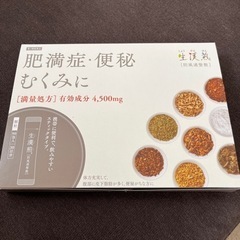 ※受付終了 生漢煎