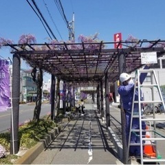 【造園】簡単な作業★未経験者歓迎★交通費支給★学歴不問     ...