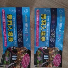 福岡イルミナージュ（イルミネーション）