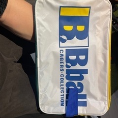 バッシュケース