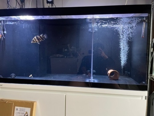 水槽・設備一式セット 引取り限定