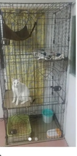 猫　ゲージ　3段