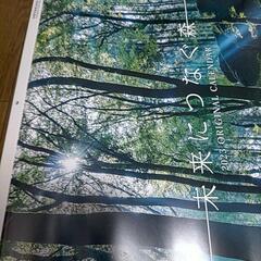 【限定品】壁掛けカレンダー 2023年（令和5年）日立システムズ　【未来につなぐ森】の画像