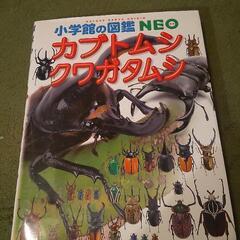 🐻子ども図鑑カブトムシ