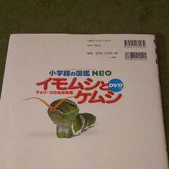 🐻🐻子ども図鑑の画像