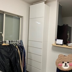 【日本製】壁面収納 キャビネット