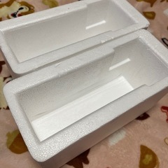 発泡スチロール　入れ物