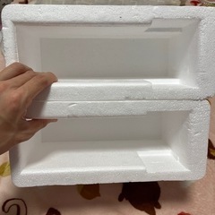 発泡スチロール　入れ物の画像