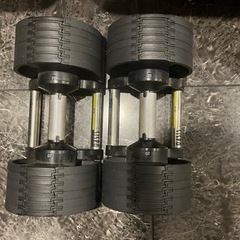 【FLEXBELLフレックスベル20kg(2個セット)&インクラ...
