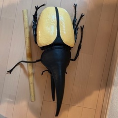 とても大きな　ヘラクレスオオカブト