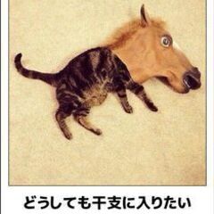 パソコンでなのができるか？ネットで出品したり　画像を編集したりな...